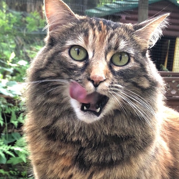 Meet your Posher, Brenda - Picture 4 of 13